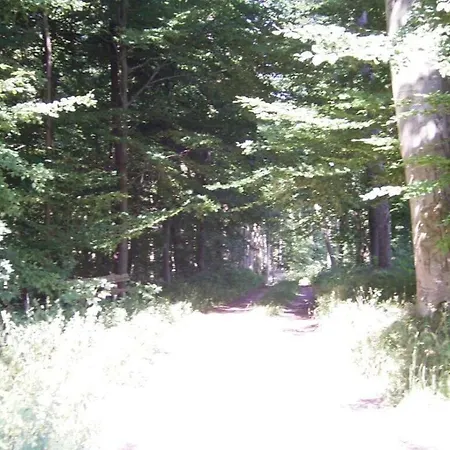 Fink Guenzburg